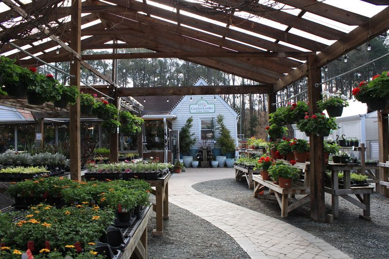 Plant Shopping With A Family-Friendly Twist