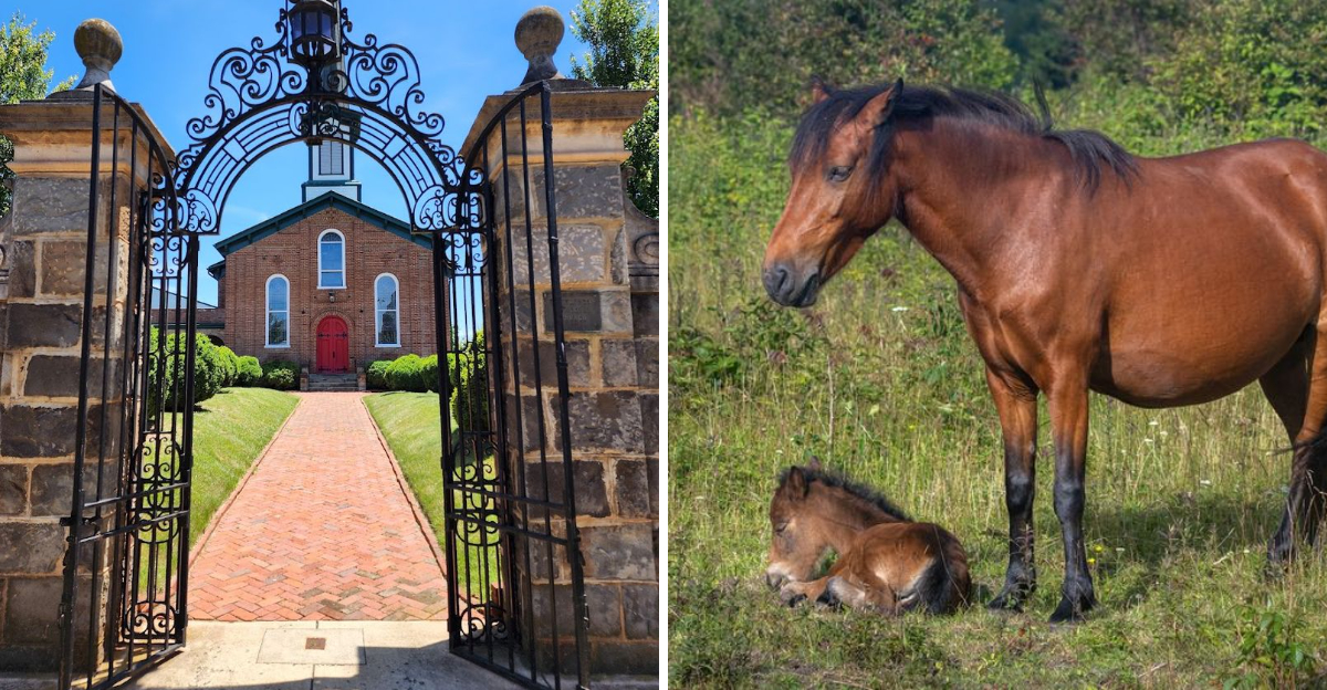Locals Across Virginia Secretly Hope These 10 Amazing Spots Stay Undiscovered 2 - Decor Hint