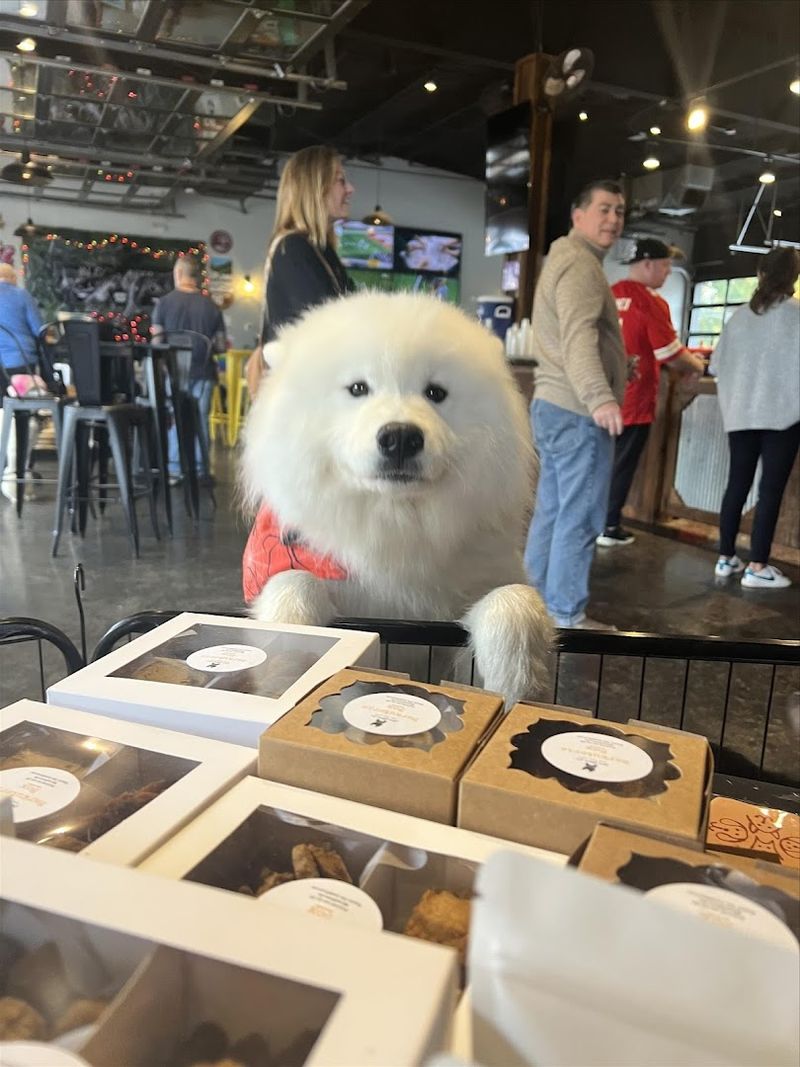 Perfect Spot to Celebrate Your Pet's Special Moments