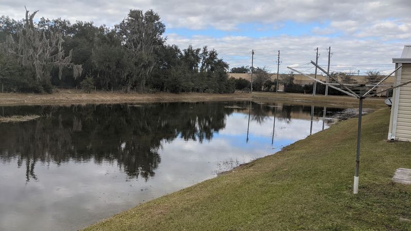 Lake Panasoffkee And The Outdoor Life