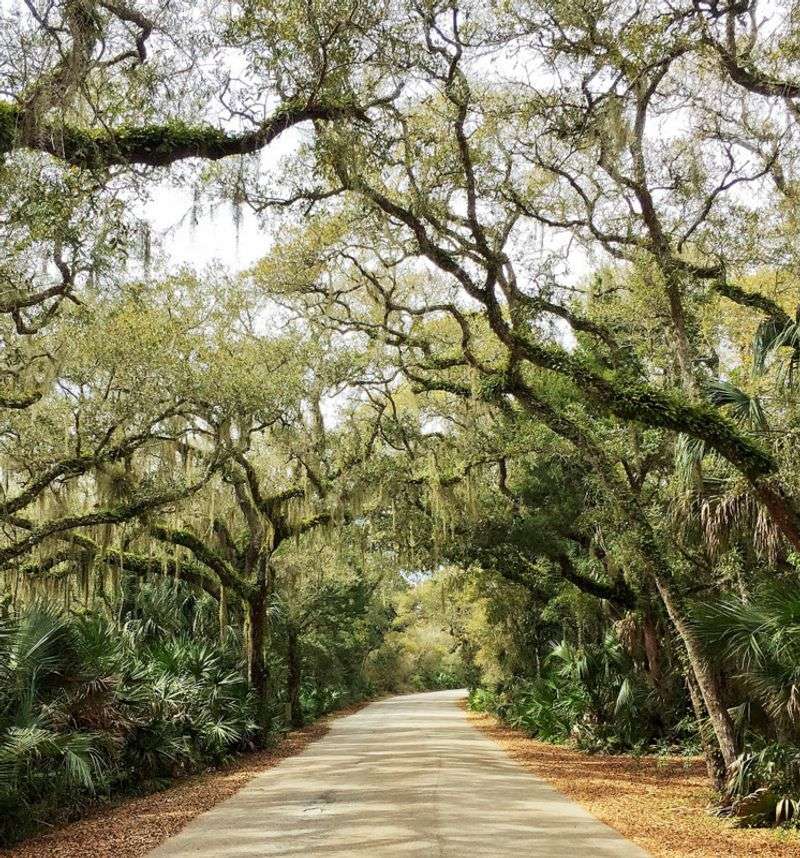 Anastasia State Park Campground