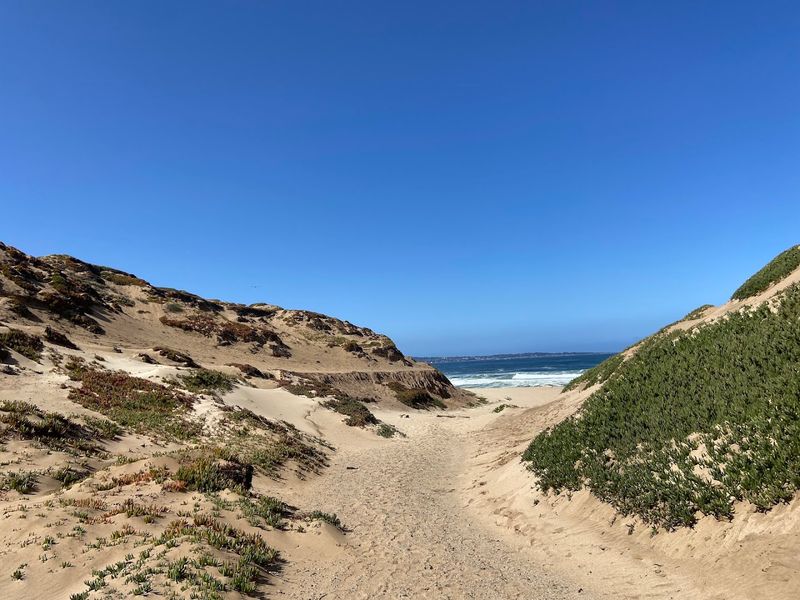 These 13 Dog-Friendly Trails In Northern California Are Perfect For A Weekend Outing - Decor Hint Fort Ord Dunes State Park Recreation Trail, Marina