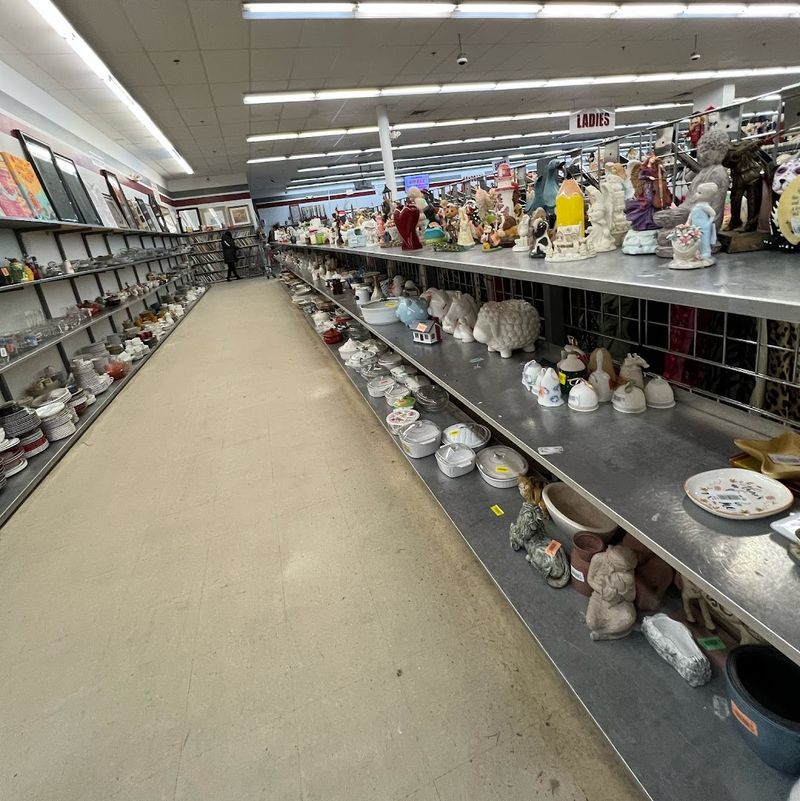 Dig Through Housewares, Décor, Toys, And Tools