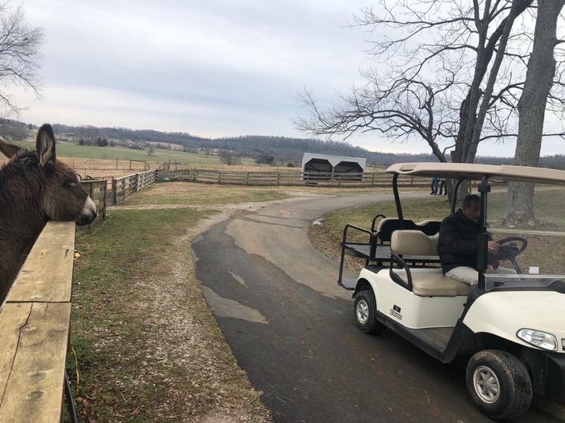 This Kentucky Attraction Offers A Fun Day Full Of Furry Encounters - Decor Hint Golf Cart Rentals And Getting Around