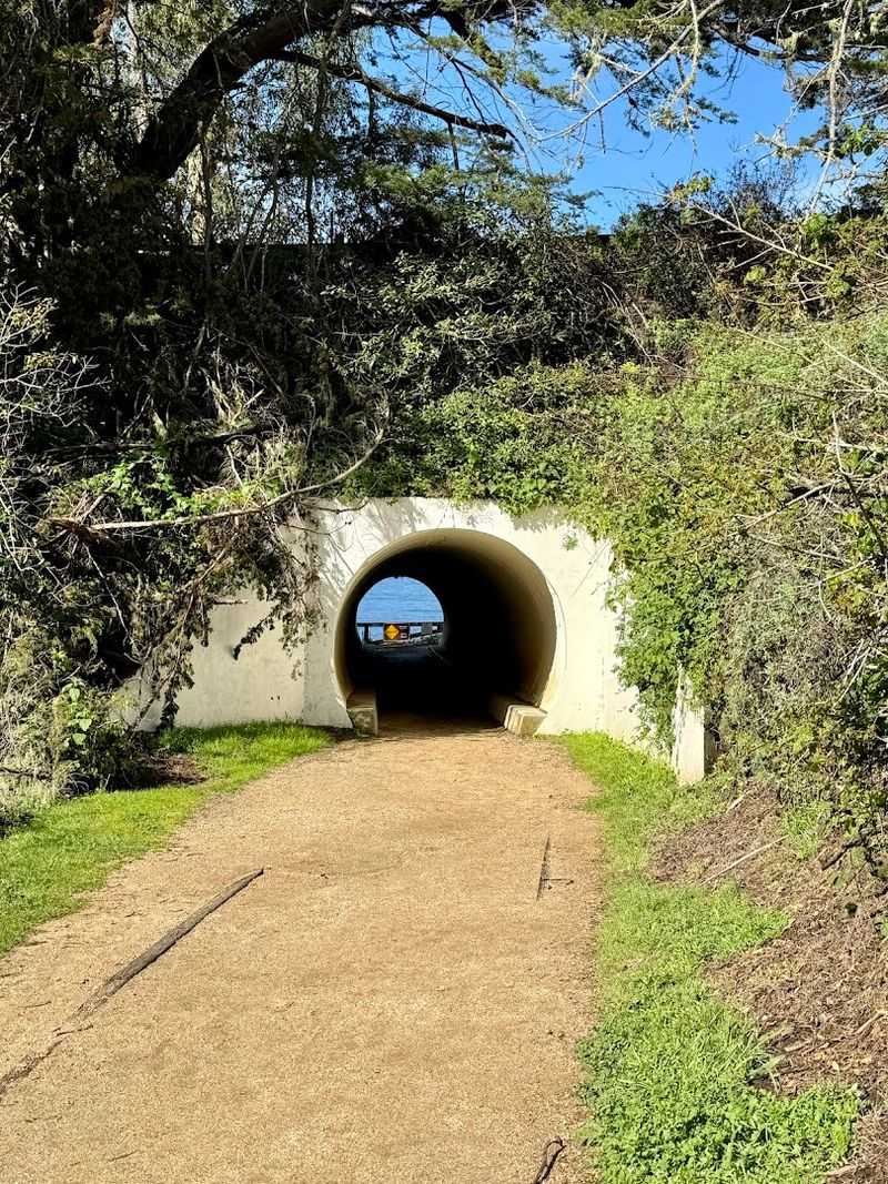 McWay Falls Overlook Trail, Big Sur
