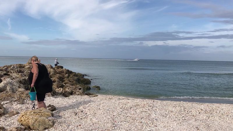 Turner Beach