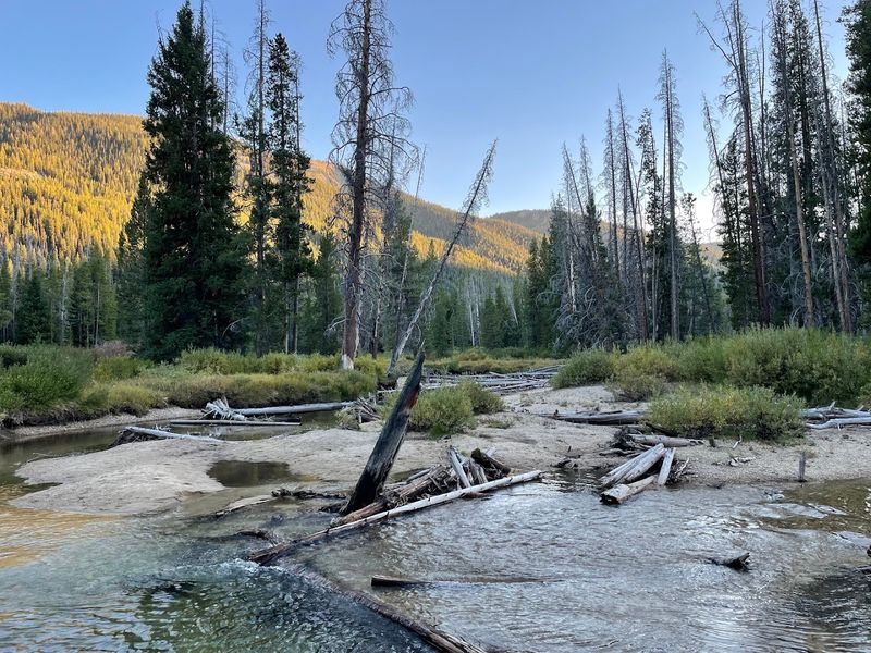 Alturas Lake Inlet Campground