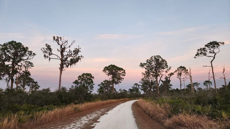 Lake June-In-Winter Scrub State Park