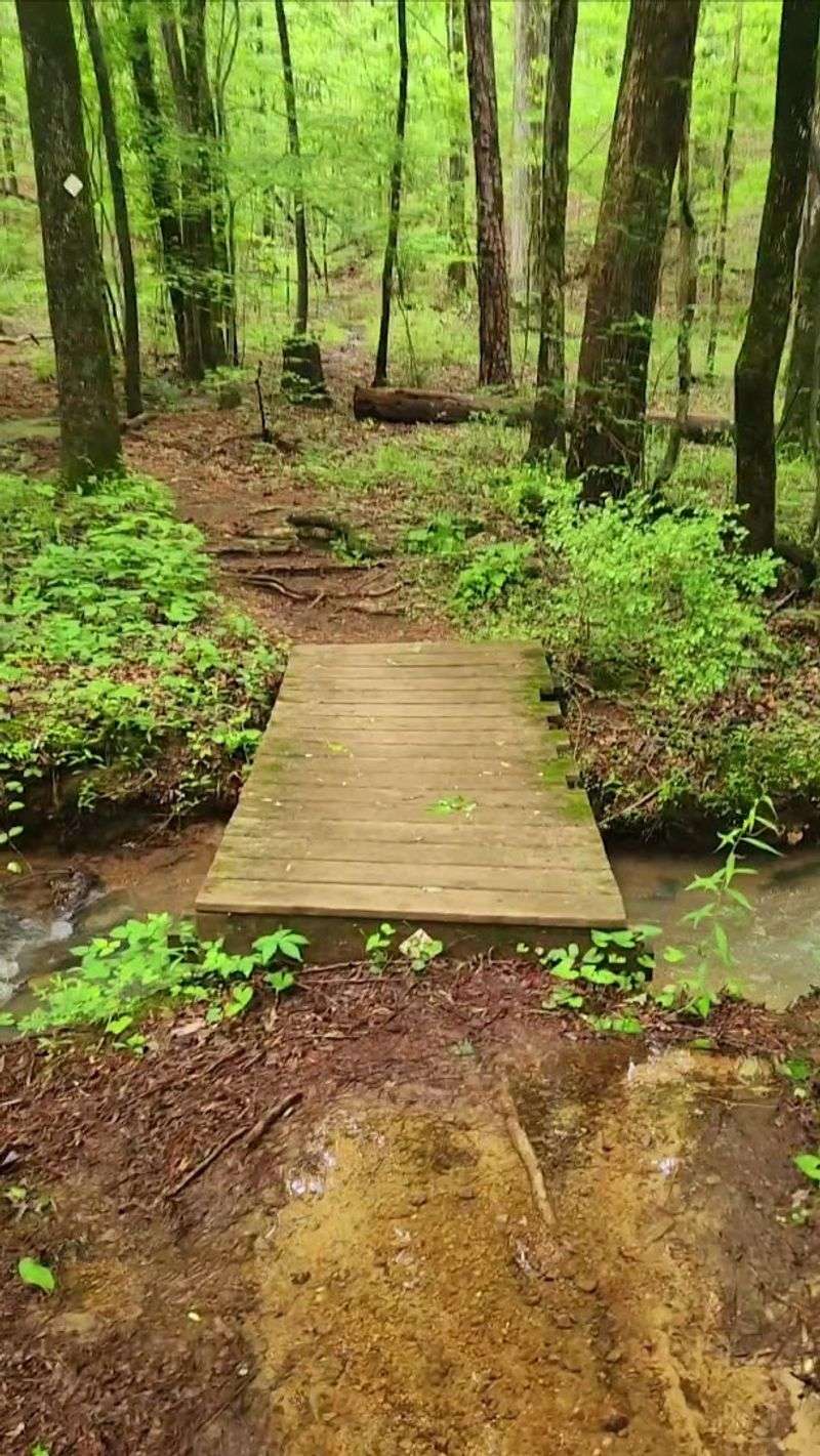 Maggie's Glen Loop, Oak Mountain State Park