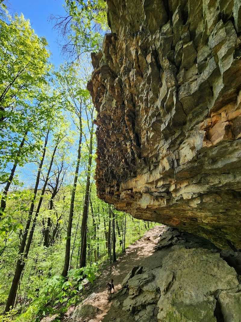 Alum Hollow Trail, Green Mountain Nature Preserve