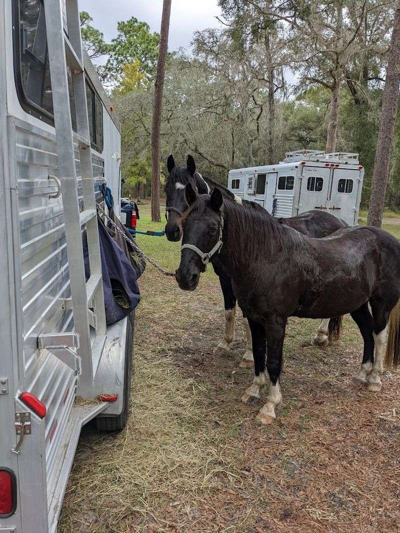 Withlacoochee State Trail And Scenic Small Town Living