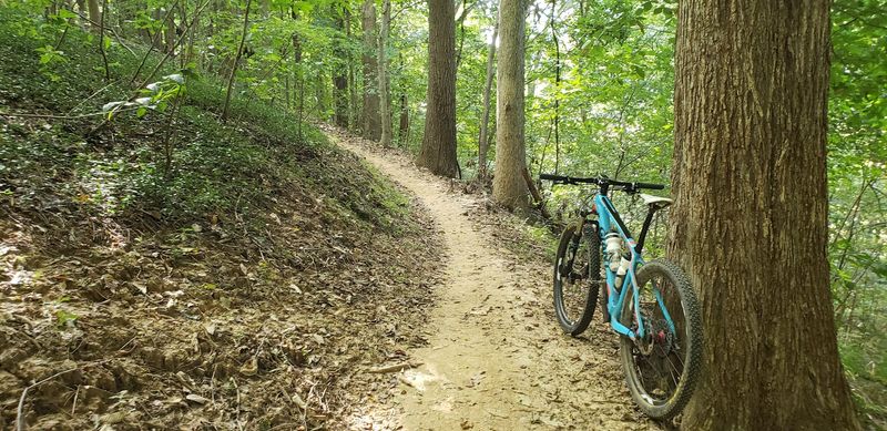 Rudy Mines Mountain Bike Trails At Ben Hawes Park