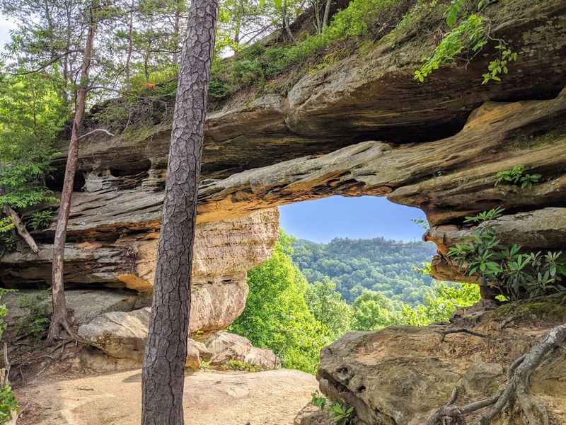 Daniel Boone National Forest Trails