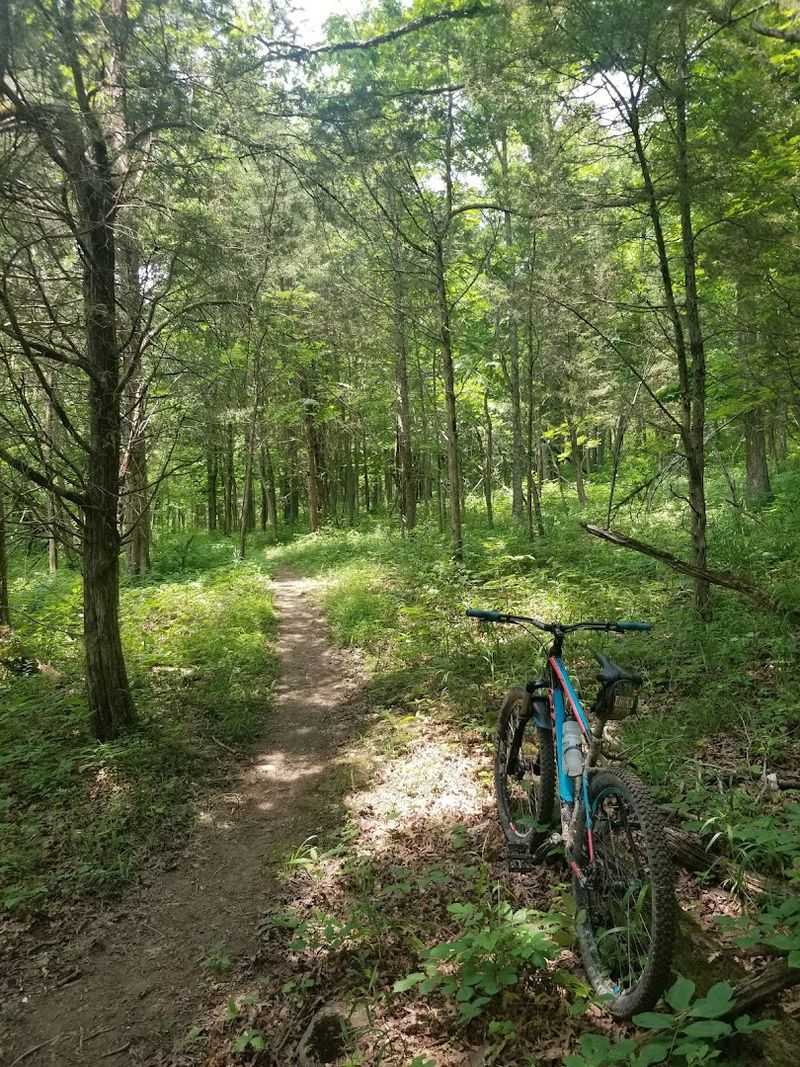 Skullbuster MTB Trail