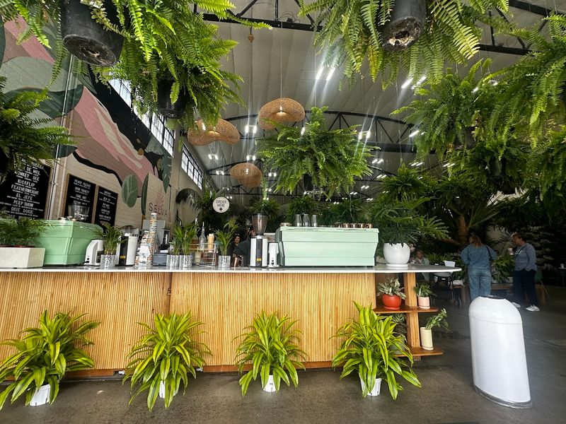 Selva Coffee House, San Diego