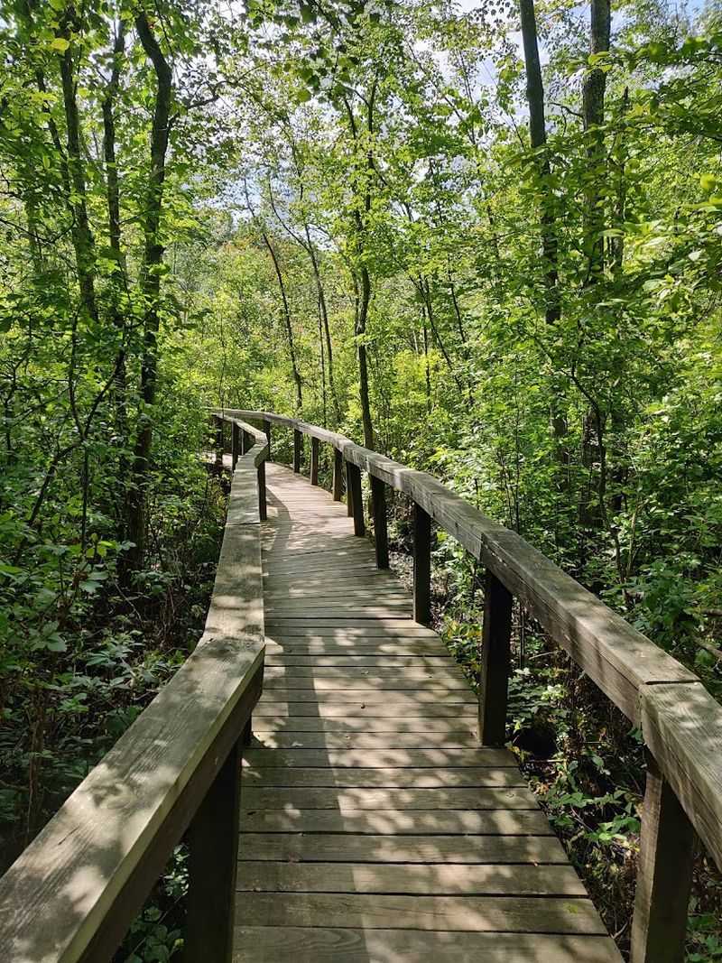 Dinosaur State Park Nature Trails, Rocky Hill 