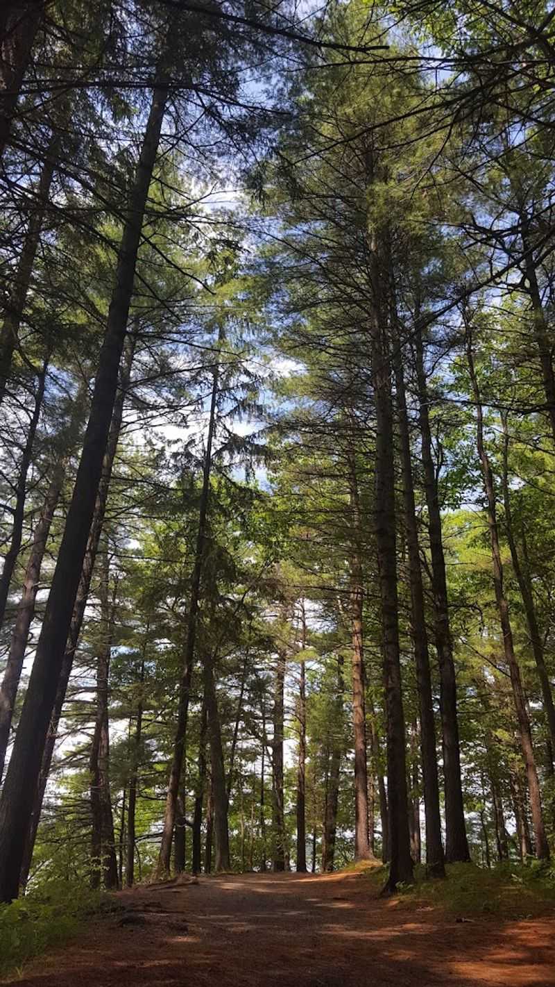 Mackworth Island Trail 