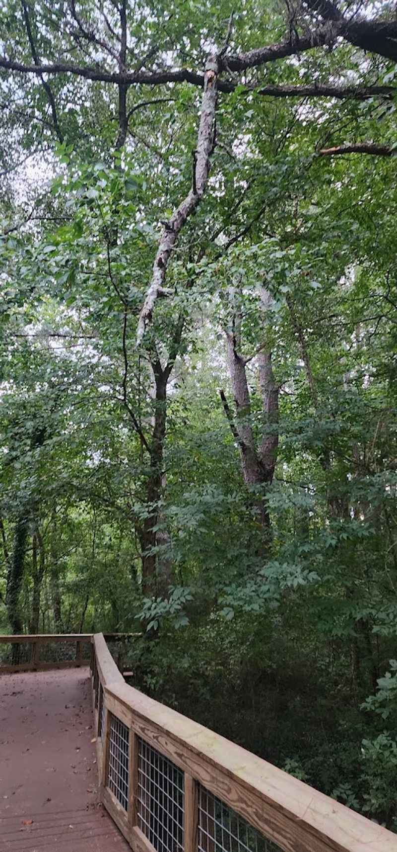 Nearly Two Miles Of Scenic Beauty Awaits In Each Direction
