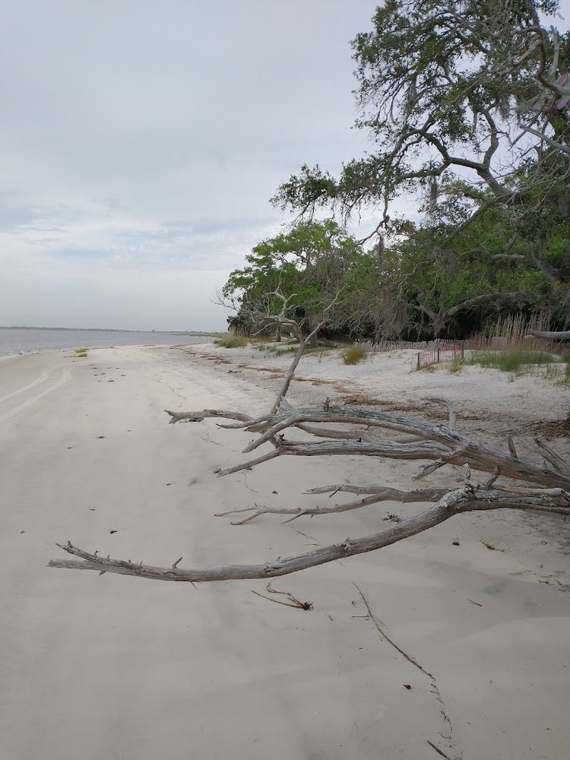 St. Andrews Picnic Area & Beach, Jekyll Island