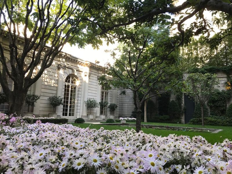 The Garden Court Atmosphere