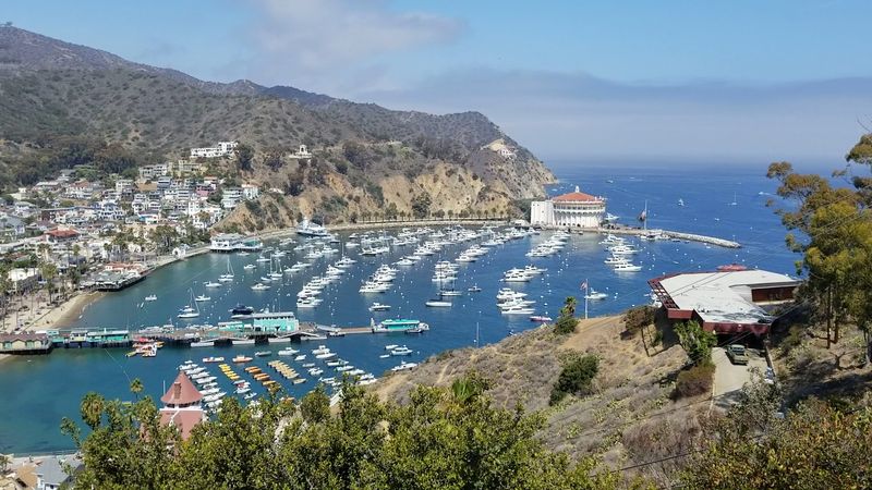 12 Scenic Spots In California That Feel Almost Suspiciously Photogenic In Person - Decor Hint Avalon Harbor, Catalina Island