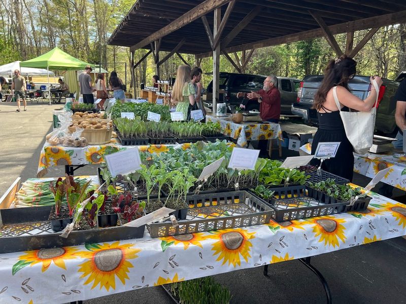 Flowers, Plants, And Natural Beauty