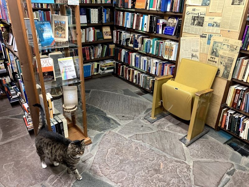 Used, Rare, And Out-of-Print Books That Are Hard To Find Elsewhere