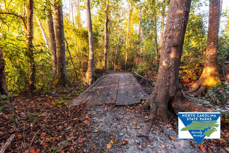 Jones Lake State Park - Cedar Loop Trail