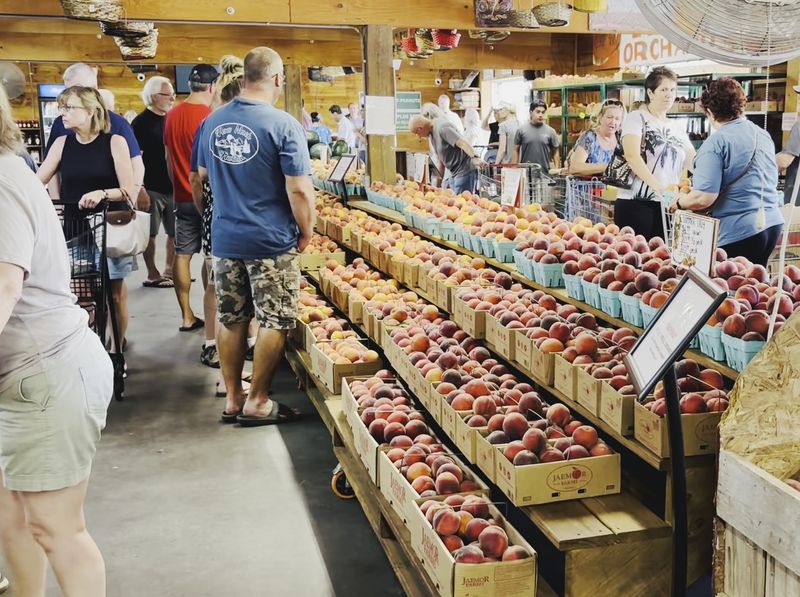 Jaemor Farms