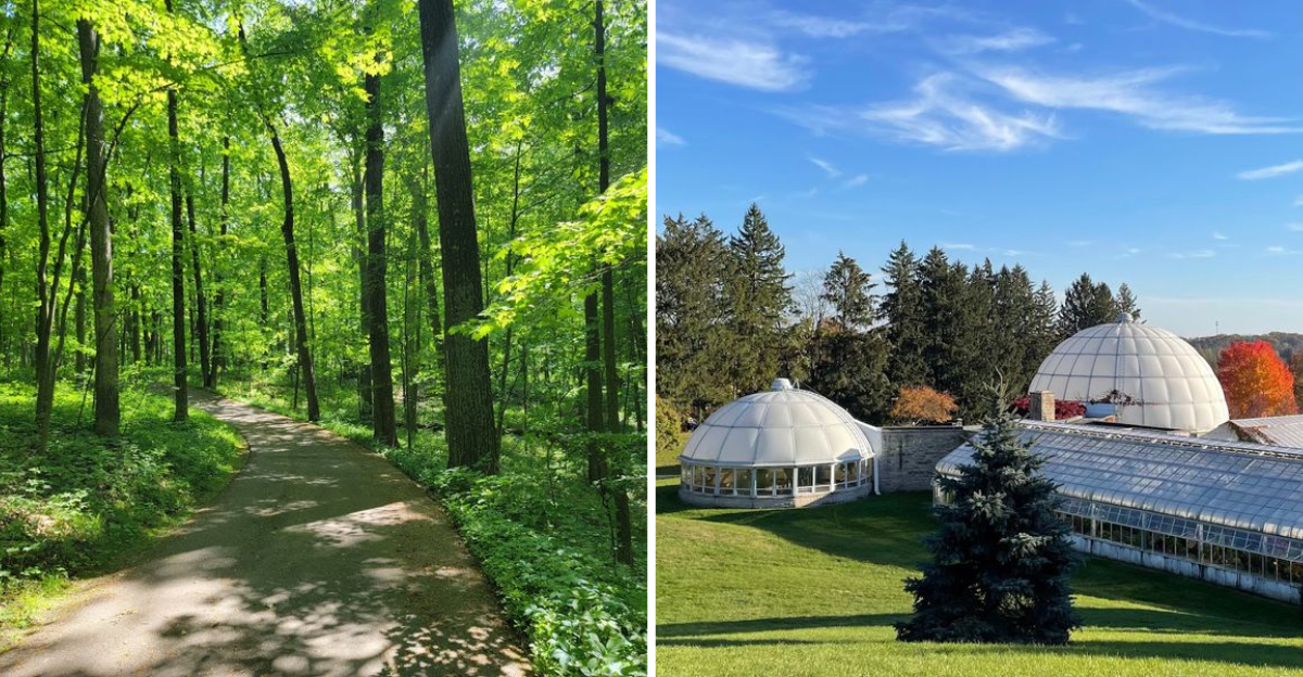 Michigan Has A Spectacular Nature Preserve Where Visitors Can Explore Miles Of Scenic Trails Through Ancient Hardwood Forests - Decor Hint