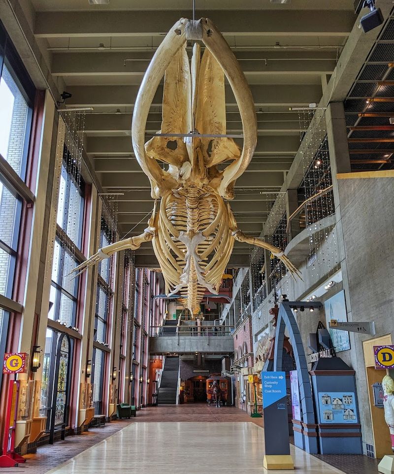 Grand Rapids Public Museum, Grand Rapids