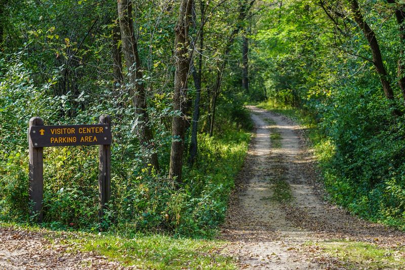 These 9 Minnesota Campgrounds Belong On Every Summer Bucket List - Decor Hint Afton State Park