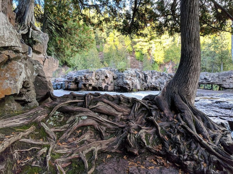 Minnesota Has A State Park That Keeps Coming Up Every Time People Talk About The Best In The Nation - Decor Hint A Park With Real History