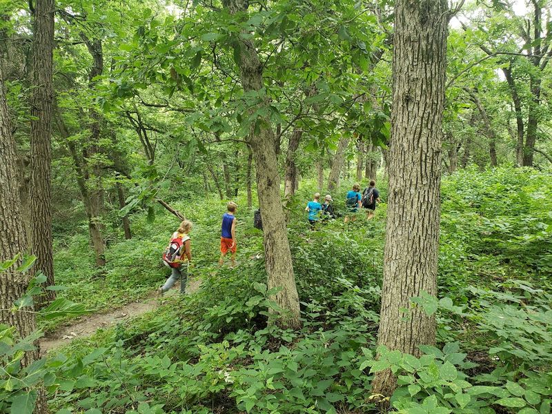 Spring Wildflowers And Fall Foliage Worth Timing Your Visit Around