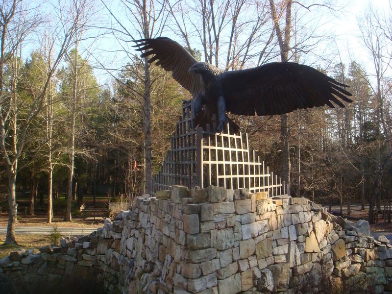 Raptor Encounter And Keeper Talks