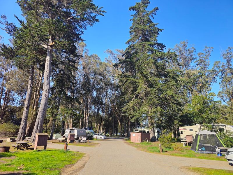 Morro Bay State Park, Morro Bay