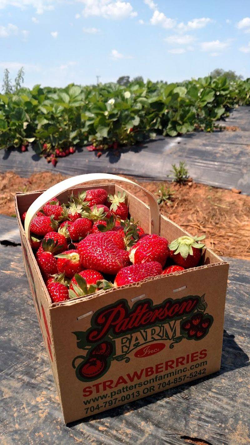 When To Visit For U-Pick Season