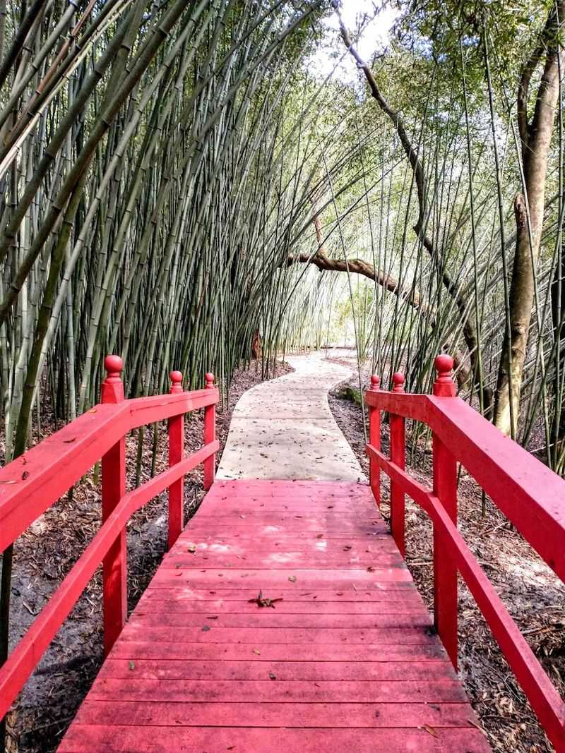 Kanapaha Botanical Gardens