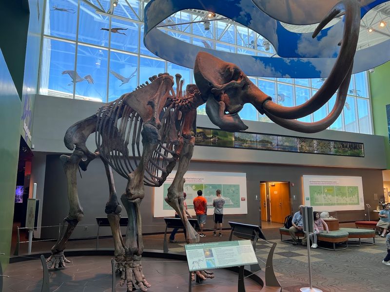 Florida Museum Of Natural History