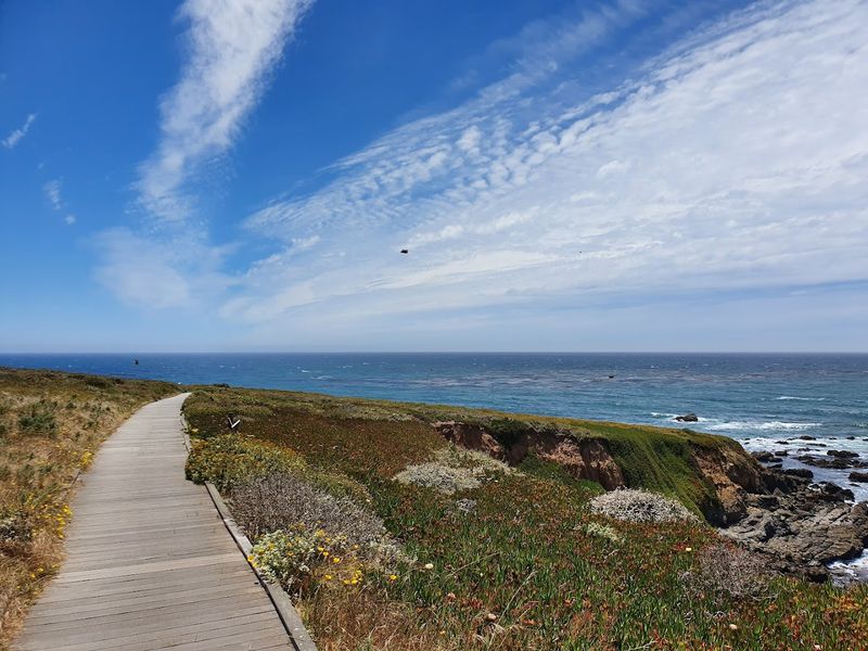 14 California Scenic Walks That Do Not Take Long But Still Deliver Big Views - Decor Hint Fiscalini Ranch Bluff Trail, Cambria