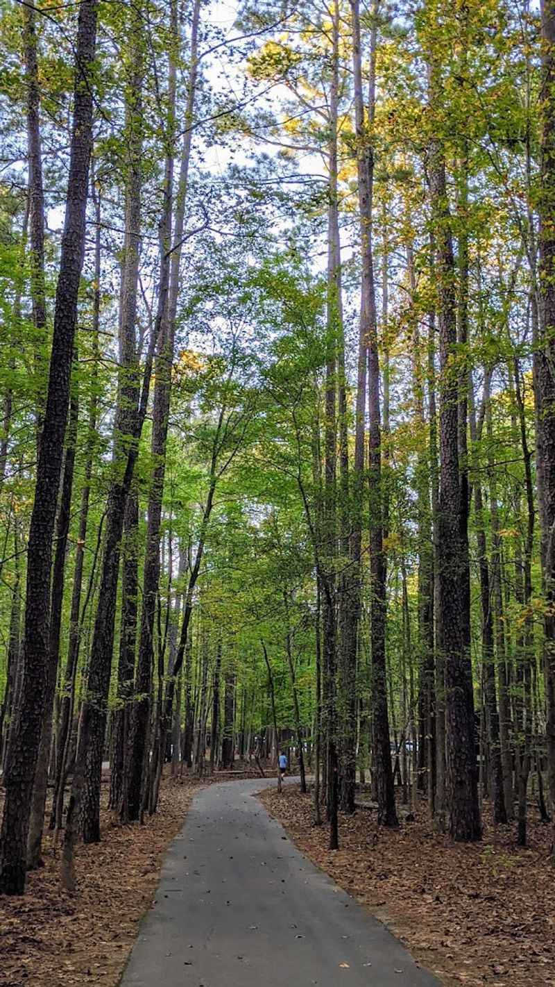 William B. Umstead State Park - Potts Branch Trail