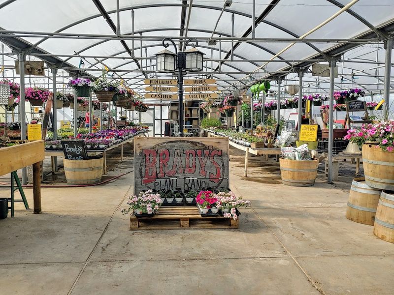Bradys Plant Ranch