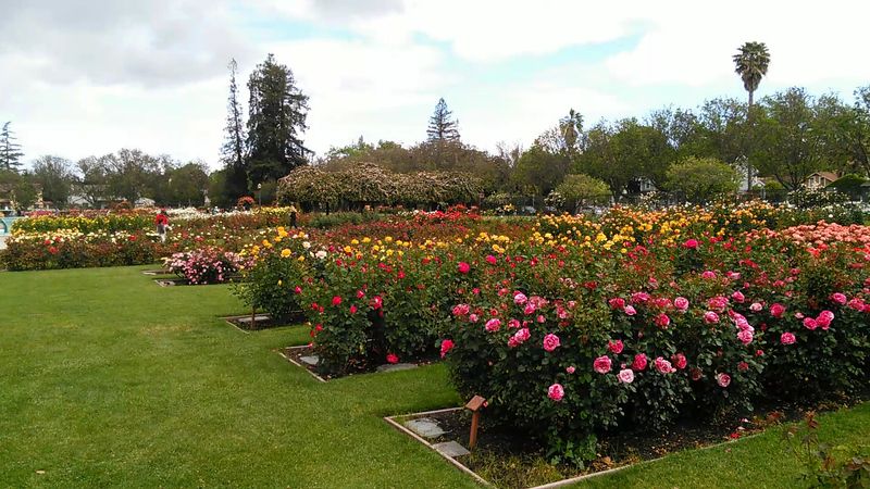 A Garden With Deep Roots