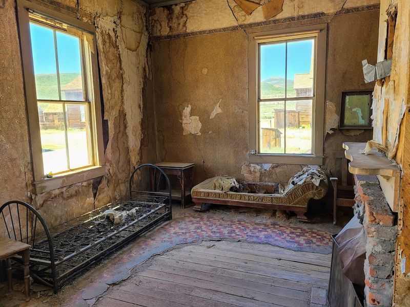 It's Preserved In Arrested Decay