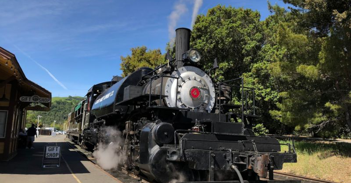Most People Dont Know About This Scenic Canyon Train Ride In California - Decor Hint