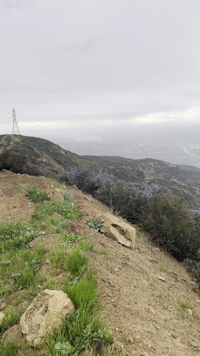 Several Access Points Make It A Very Flexible Ride