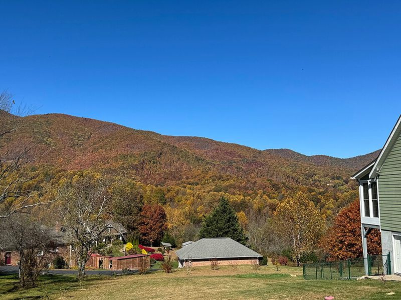 Waynesville