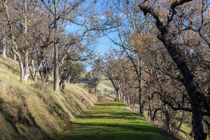 Ohlone Wilderness Trail, Del Valle Regional Park