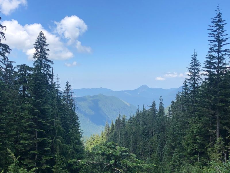 Heliotrope Ridge Trail