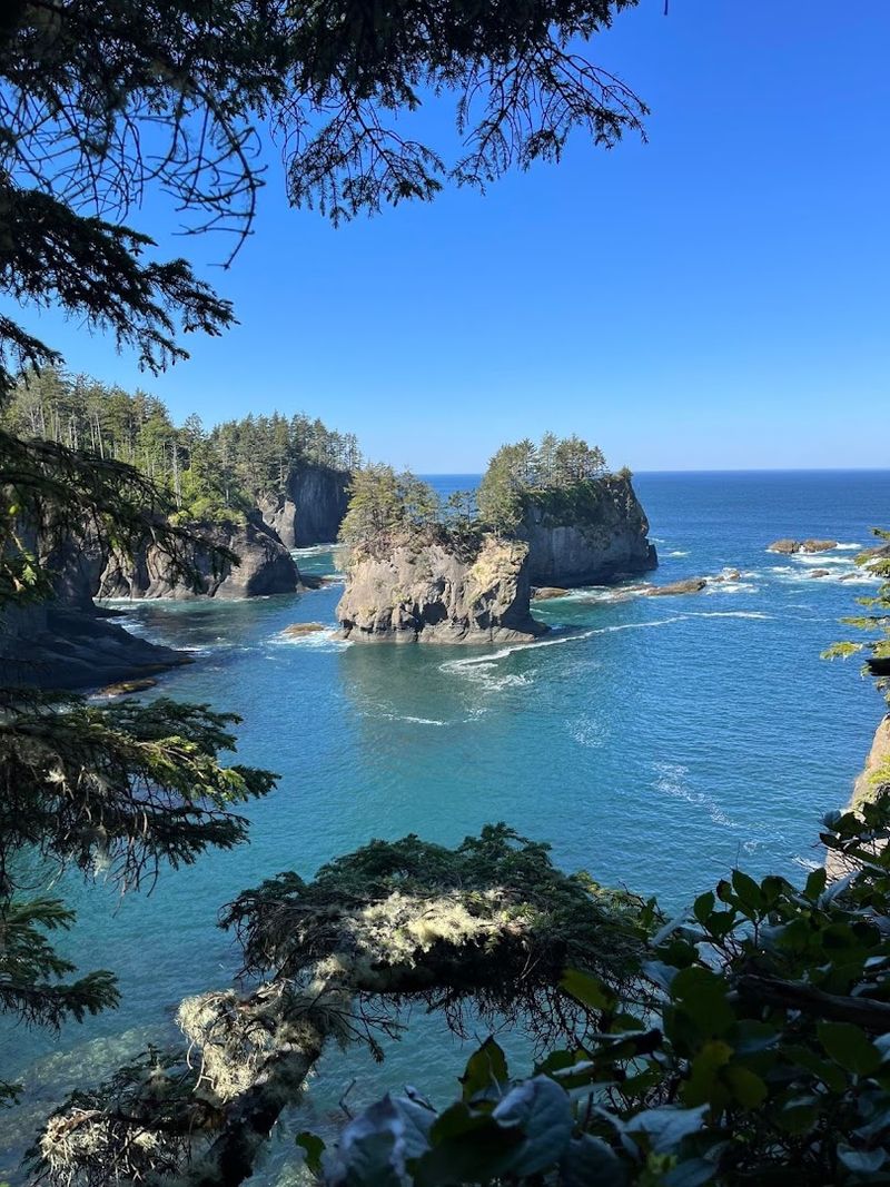 Cape Flattery 